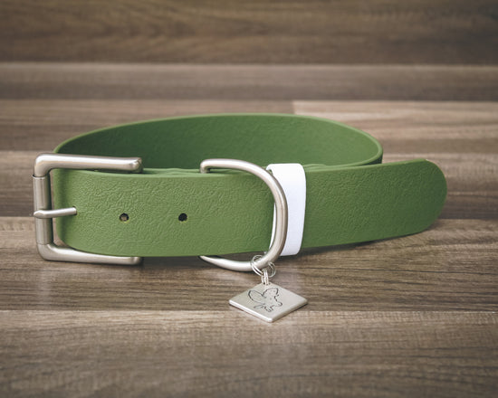 Olive Buckle Collar 1.5"