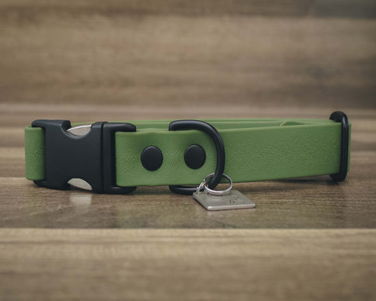 Onyx Olive Quick Release Collar