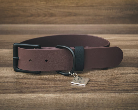 Onyx Cedar Buckle Collar 1.5"