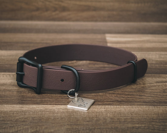 Onyx Cedar Buckle Collar