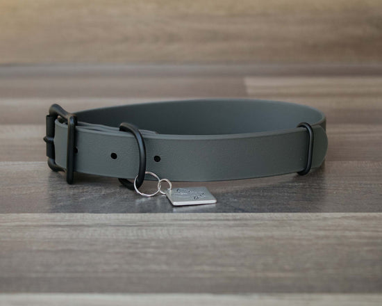 Onyx Granite Buckle Collar