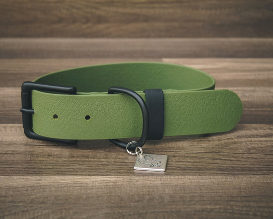 Onyx Olive Buckle Collar 1.5"