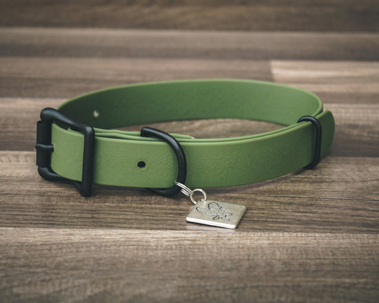 Onyx Olive Buckle Collar