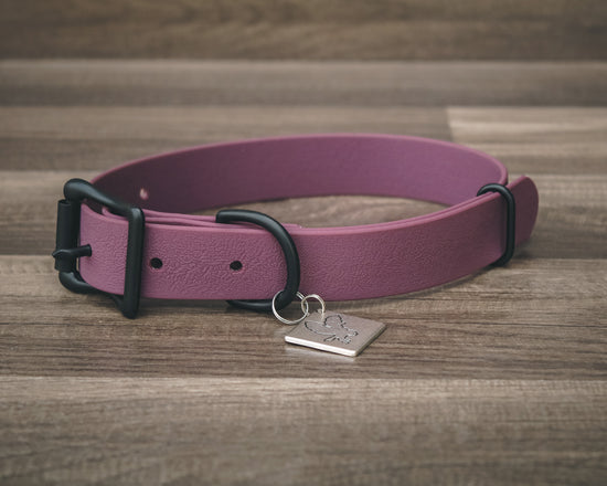 Onyx Plum Buckle Collar