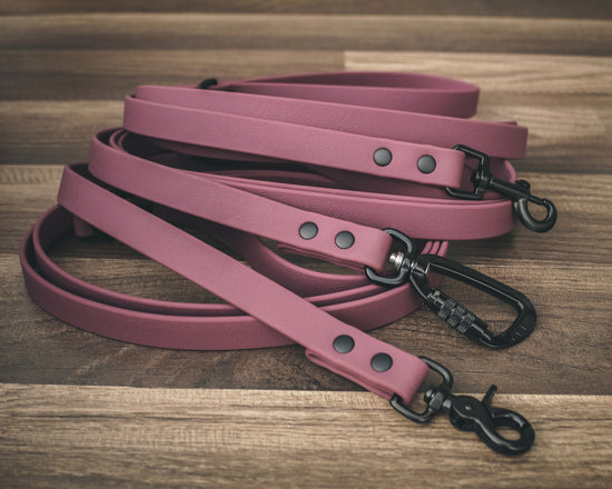 Onyx Plum Leash