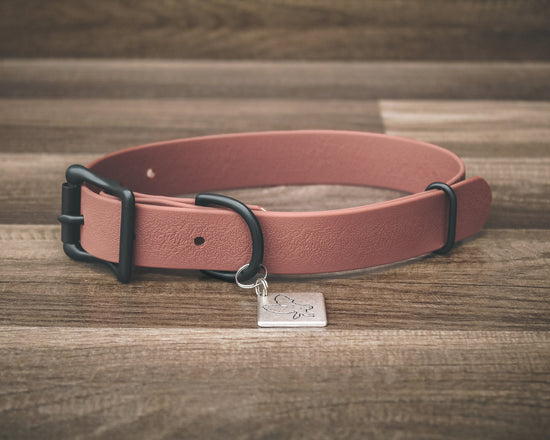 Onyx Sienna Buckle Collar