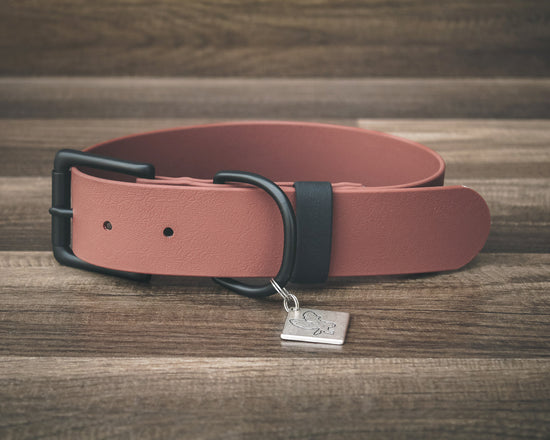 Onyx Sienna Buckle Collar 1.5"