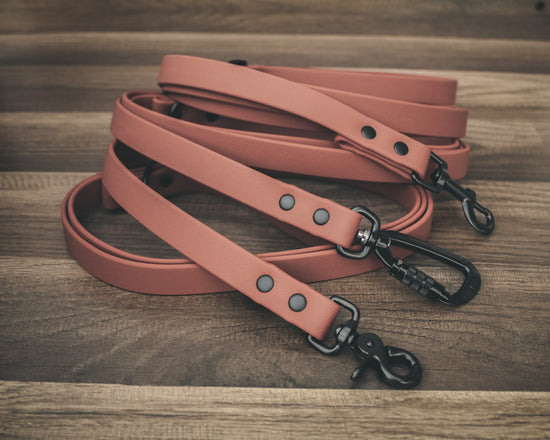 Onyx Sienna Leash