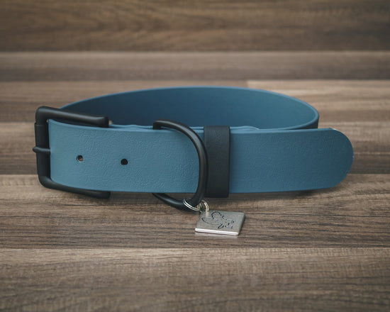Onyx Slate Blue Buckle Collar 1.5"