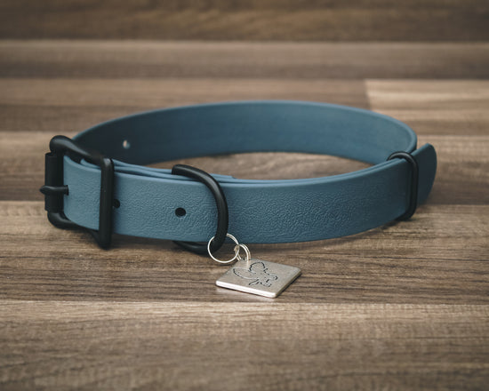 Onyx Slate Blue Buckle Collar