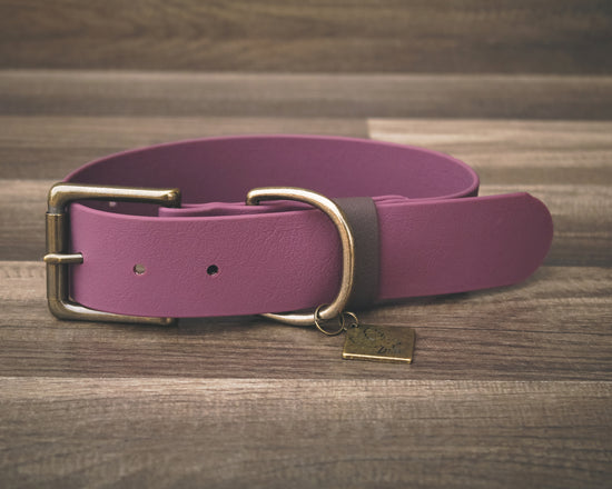 Plum Buckle Collar 1.5"