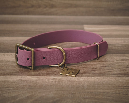 Plum Buckle Collar