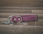 Hoot & Co plum martingale collar with adjustable strap and metal hardware, designed for secure and stylish dog neck support.