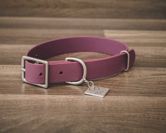 Plum Buckle Collar