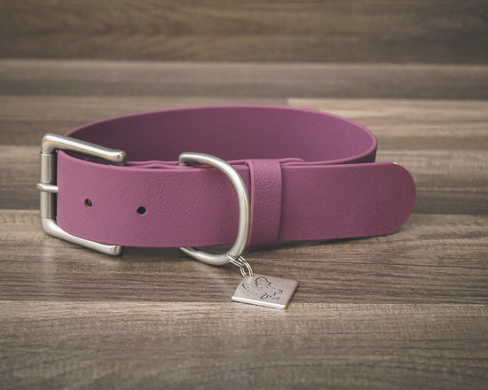 Plum Buckle Collar 1.5"