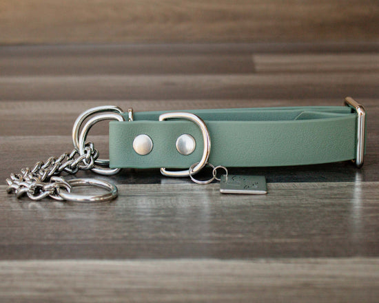 Sage Martingale Collar