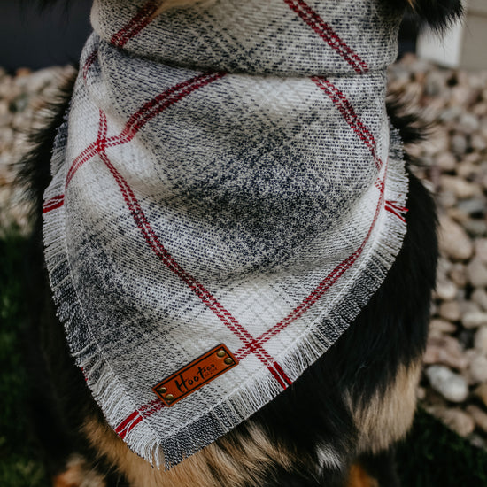 Sawyer Frayed Bandana