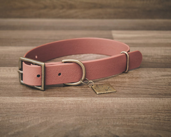 Sienna Buckle Collar