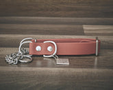 Hoot & Co Sienna Martingale Collar with adjustable leather strap and metal hardware for dog training and control.