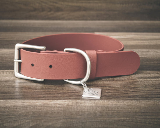 Sienna Buckle Collar 1.5"