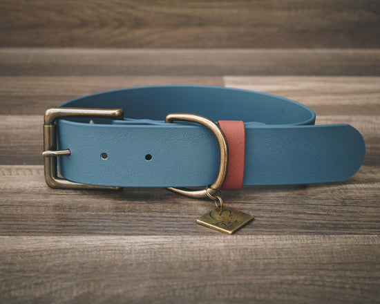 Slate Blue Buckle Collar 1.5"