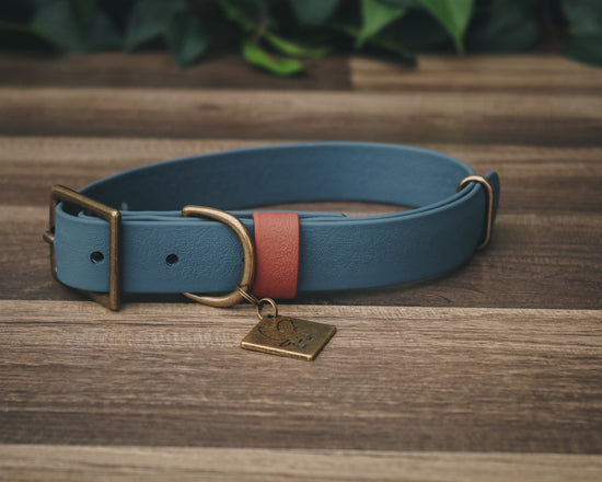 Onyx Cedar Buckle Collar