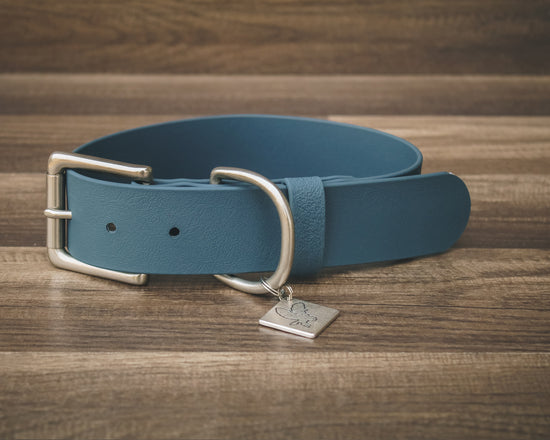 Slate Blue Buckle Collar 1.5"