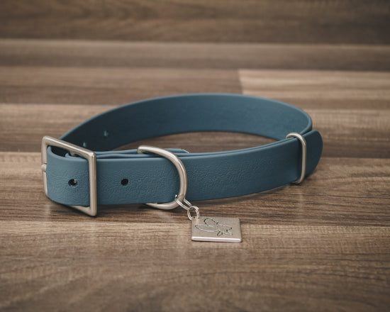 Slate Blue Buckle Collar