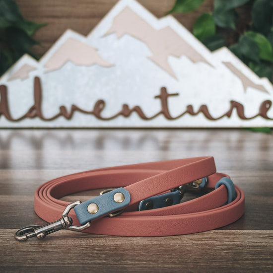 The Summit Leash / All-in-one + Hands Free - Two Tone