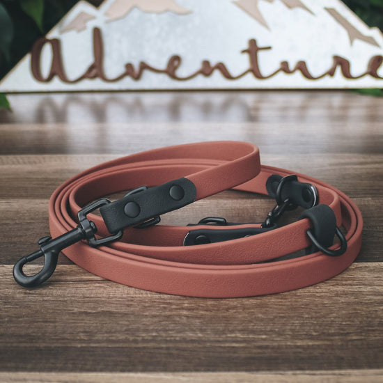 The Onyx Summit Leash / All-in-one + Hands Free - Two Tone