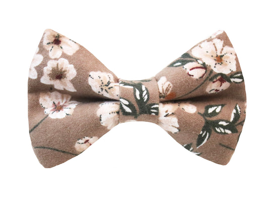 Lani Floral Bow Tie - Taupe