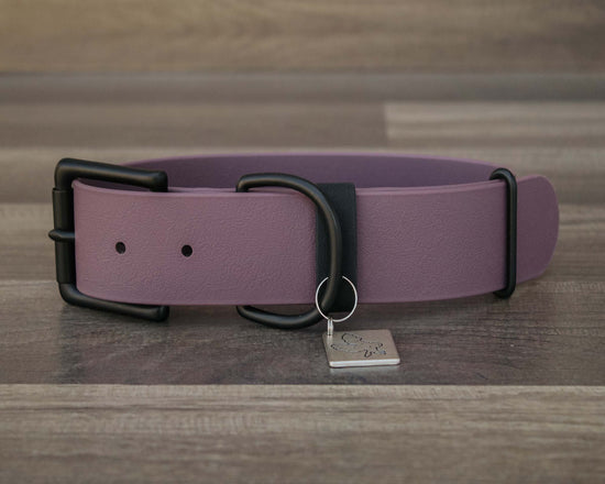 Onyx Wisteria Buckle Collar 1.5"
