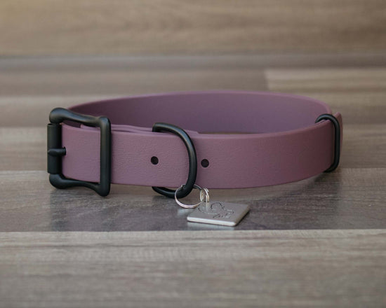 Onyx Wisteria Buckle Collar